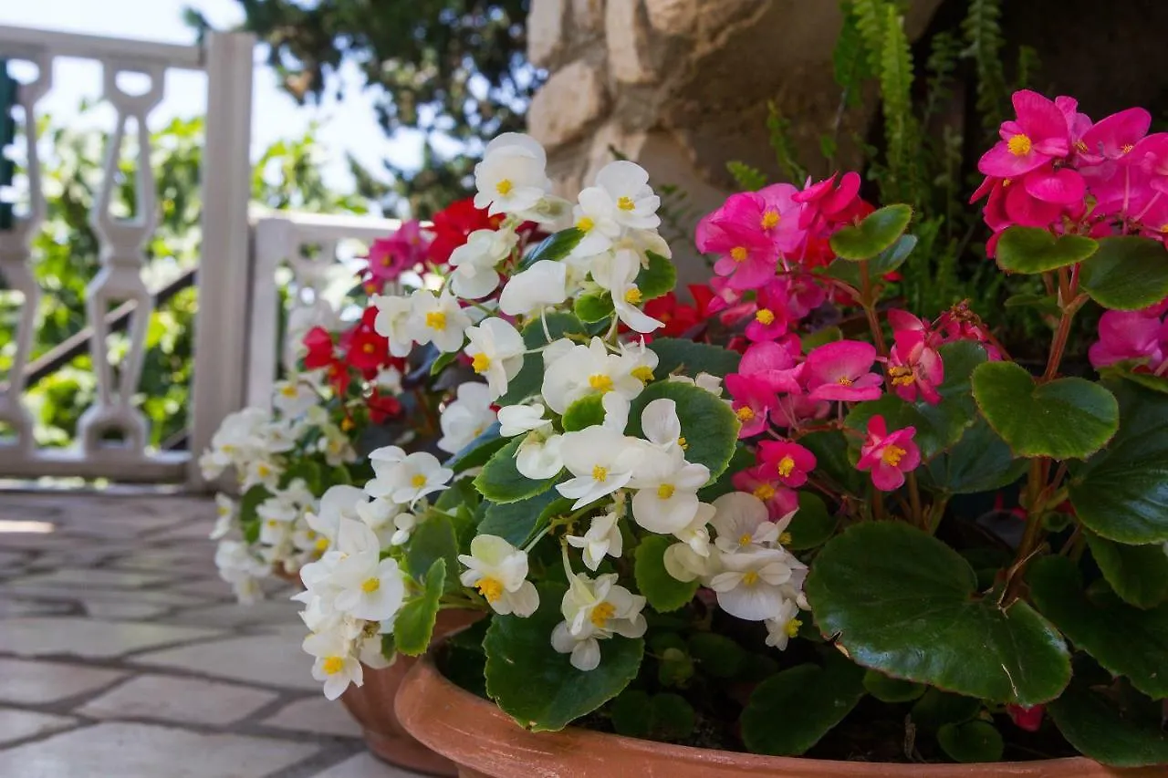 Apartments Anica Mali Losinj